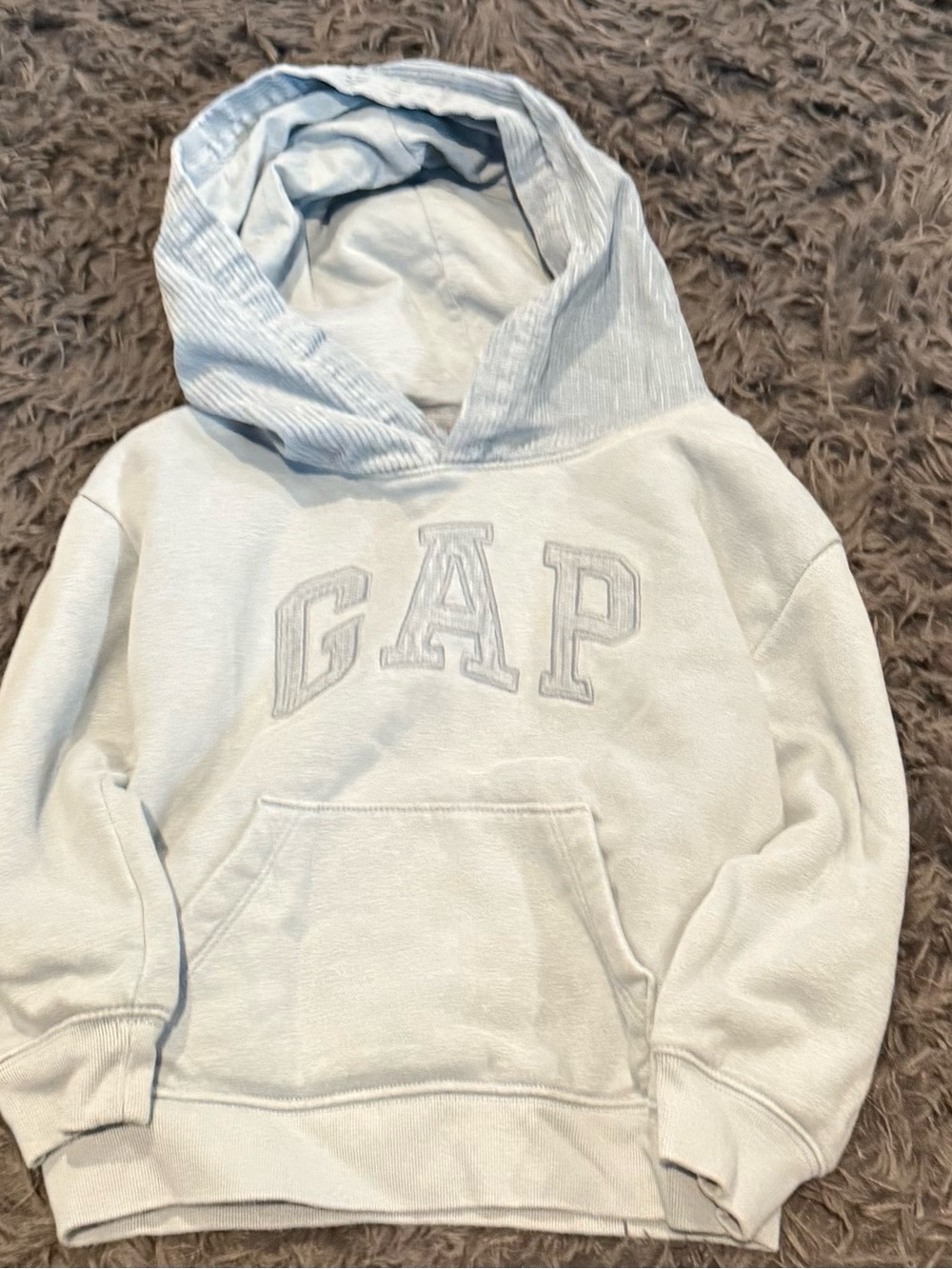 GAP Light Blue Pullover Hoodie with Embroidered Logo